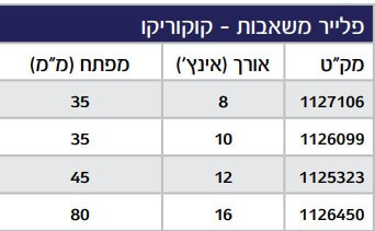 פלייר משאבות