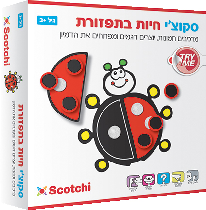 סקוצ