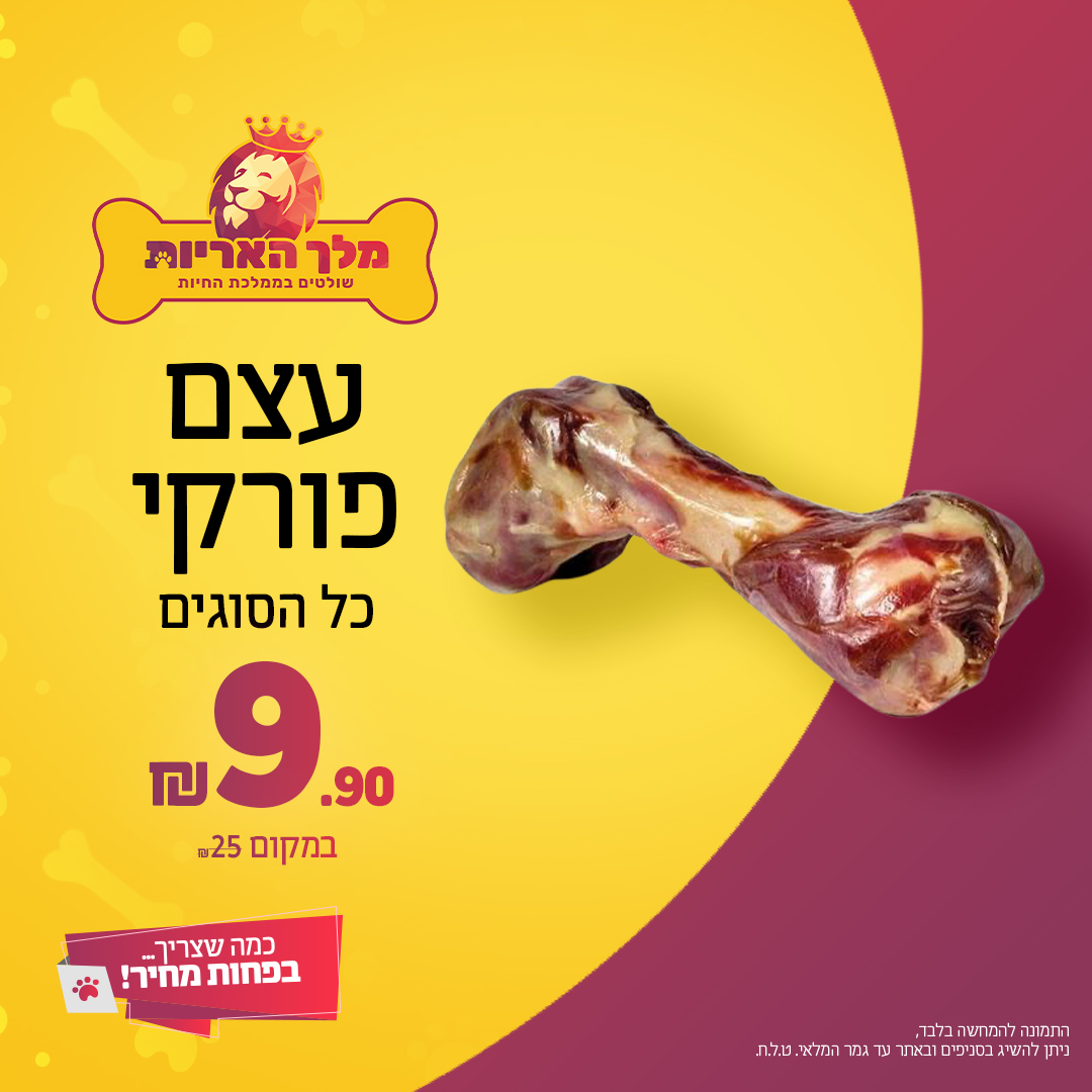 עצם פורקי בגדלים שונים לבחירה במבצע