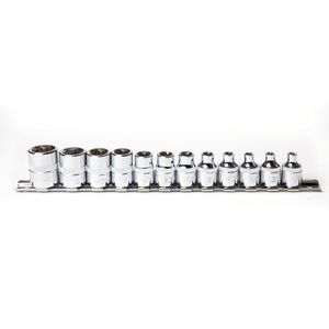 סט בוקסות E-TORX פנימי על פס 12 יח SIGNET D3/8