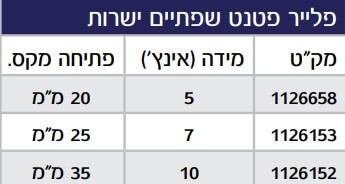 פלייר פטנט