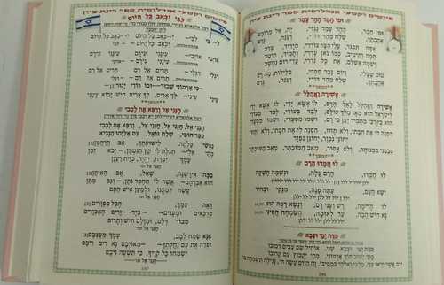 רינת ציון מפואר החדש