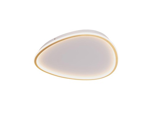 פלפון אמורפי פליז גדול LED 72W