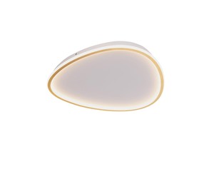 פלפון אמורפי פליז גדול LED 72W