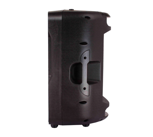 רמקול פאסיבי BLG Audio BP13-12 800W