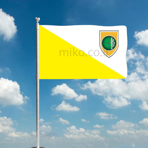 דגל חיל האיסוף קרבי