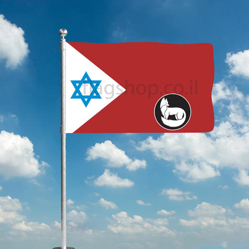 דגל פיקוד הדרום