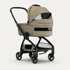 עגלת תינוק אירון Aeron צבע Taupe רדסבייבי