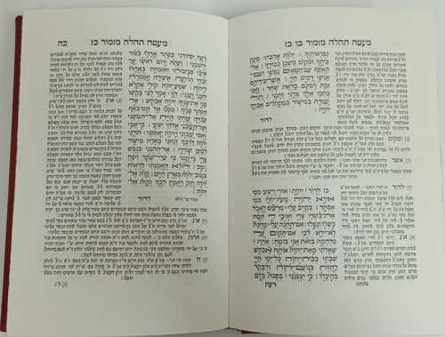 תהלים מעטה תהלה