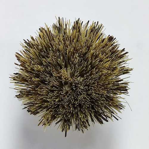 מברשת עץ מקצועית לניקוי ידית קפה פסקל Pascale