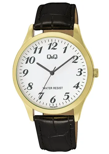שעון יד לגבר Q&Q C00A-007PY 