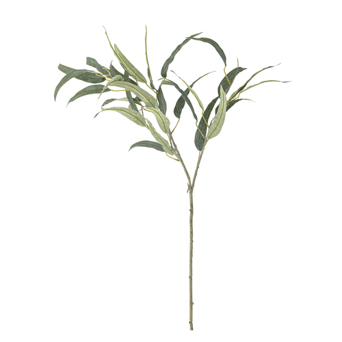 ענף אקליפטוס מלאכותי Eucalyptus - ירוק
