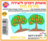 משחק זיכרון ליצירה פירות הדר