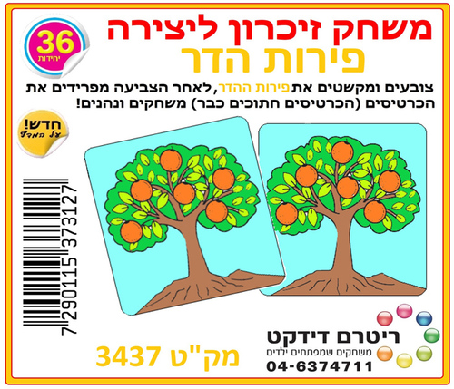 משחק זיכרון ליצירה פירות הדר