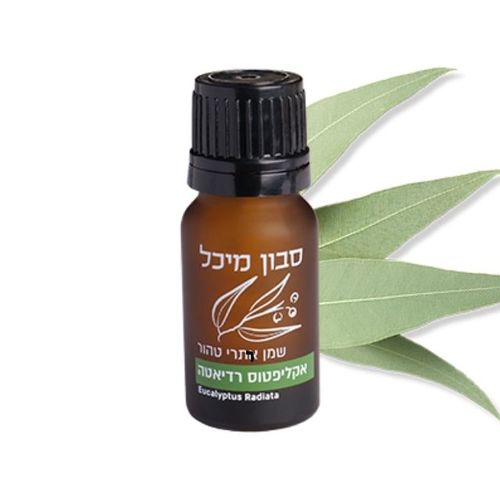 שמן אתרי טהור - אקליפטוס רדיאטה 10 מ''ל