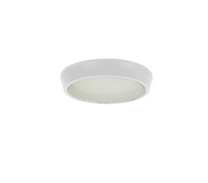 פלפון לבן נצנצים LED 12W