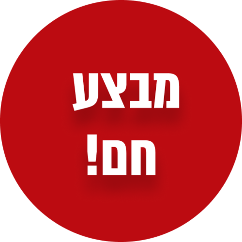 מגהץ ‏קיטור Tefal pro express vision GV9821E0 טפאל