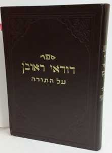 דודאי ראובן - תורה