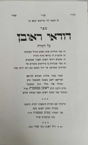 דודאי ראובן - תורה