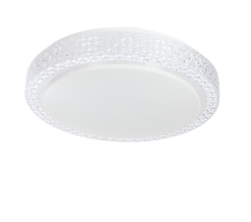 פלפון LED 24W