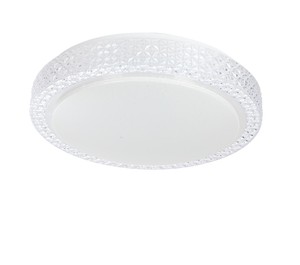 פלפון LED 24W