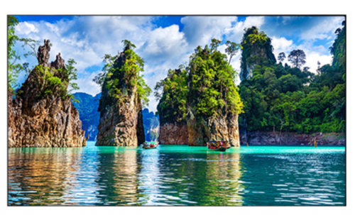 מסך מקצועי VESTEL WW55B/2HB 55