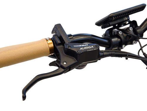 אופניים חשמליים 60 וולט ביג פוט ריידר סופר ספורט -4.0 RIDER SUPER SPORT