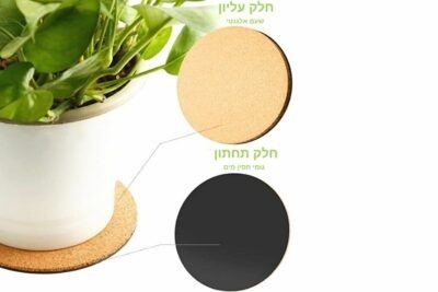 תחתית שעם