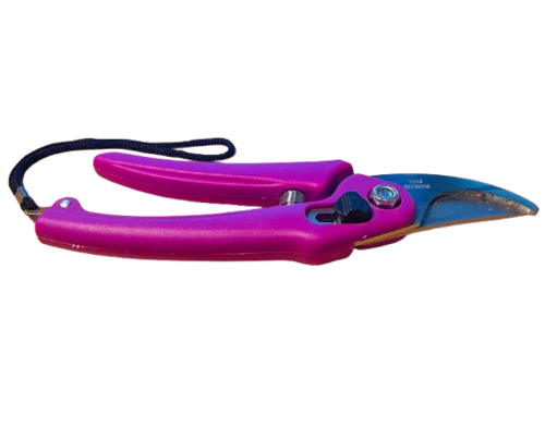 מזמרה