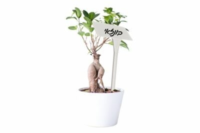 שלט סימון לצמחים