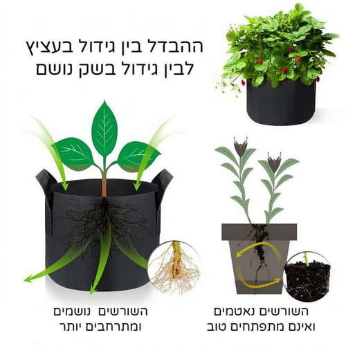 שק בד לגידול
