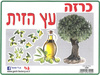 ערכת קישוט בנושא עץ הזית/גן לי