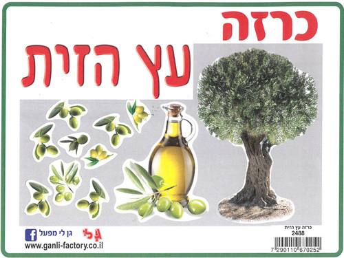 ערכת קישוט בנושא עץ הזית/גן לי