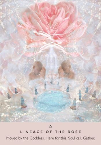 אורקל של ורד  oracle of the rose