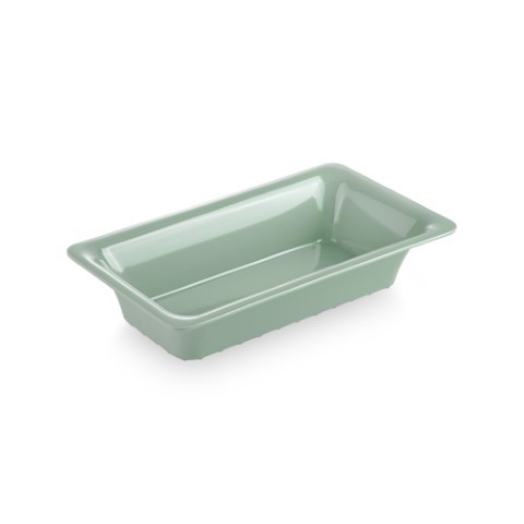 גסטרונום סלים 1/3 65 ירוק Y.C.028777 / 1365S