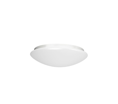 פלפון 50 LED 55W (אור חם)