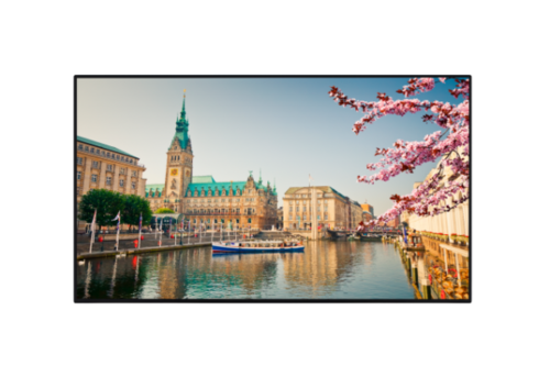 מסך מקצועי VESTEL PN43B-4H 17MB1