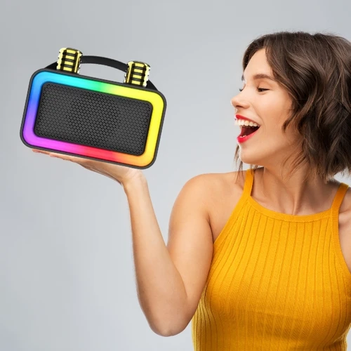 רמקול מיקרופון קריוקי נייד כולל 2 מיקרופונים GO