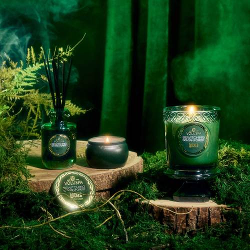 נר בכלי זכוכית 'Bewitching Banyan Forest 'WICKED
