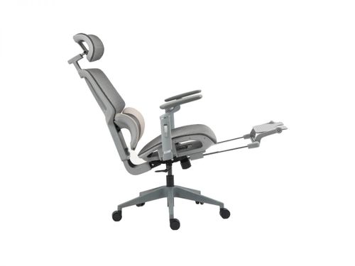 כיסא משרדי ד״ר גב EXCELLENT