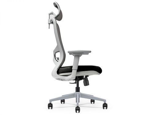 כיסא משרדי ד״ר גב PRO IMPACT