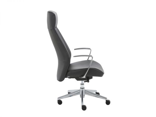 כיסא מנהלות ומנהלים ד״ר גב EXCEL