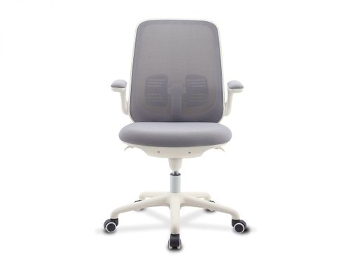 כיסא תלמיד ד״ר גב PIONEER