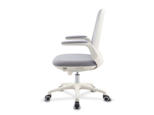 כיסא תלמיד ד״ר גב PIONEER