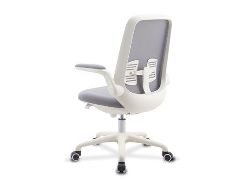 כיסא תלמיד ד״ר גב PIONEER