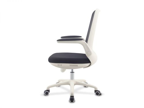 כיסא תלמיד ד״ר גב PIONEER