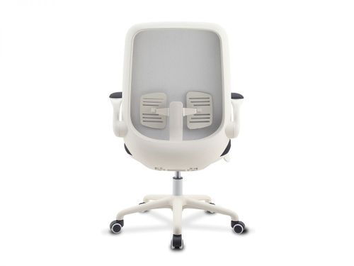 כיסא תלמיד ד״ר גב PIONEER