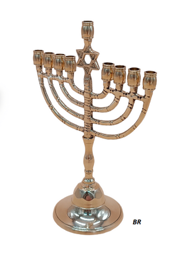 חנוכייה מגן דוד 10״