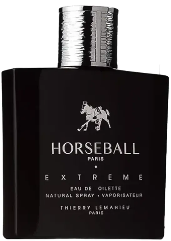 Thierry Le Maire Horseball Extreme