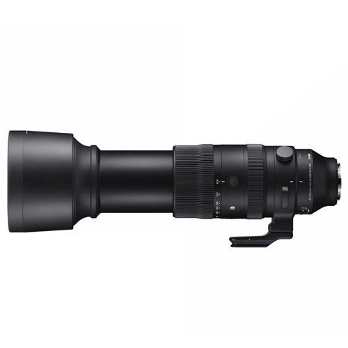 SIGMA 60-600mm F4.5-6.3 DG DN OS | Sport For L-MOUNT